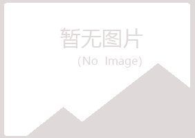 麻山区敷衍美容有限公司